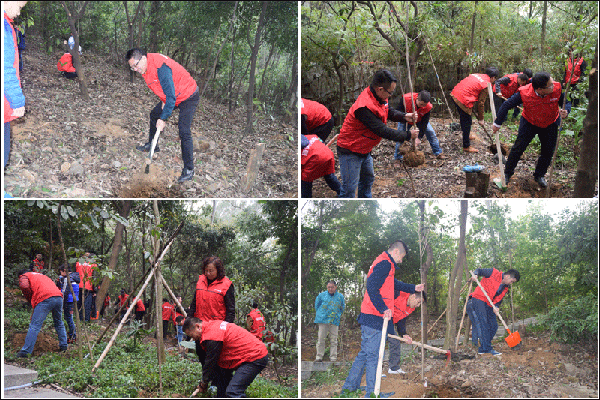 1509615449805017892.png 新美裝飾-新美動(dòng)態(tài)6 (1).png